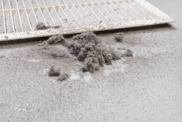 Best Local Air Duct Cleaning Services  in Afton, WY