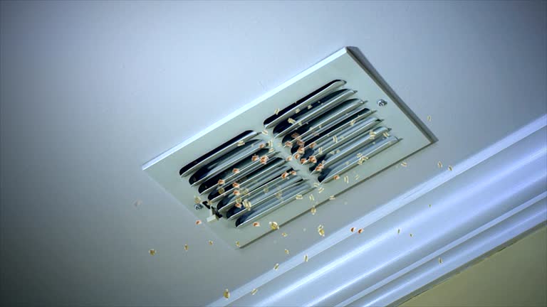 Best Residential Air Duct Cleaning  in Afton, WY