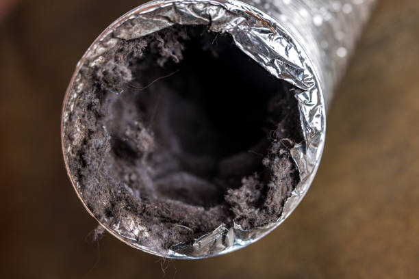 Best Local Air Duct Cleaning Services  in Afton, WY