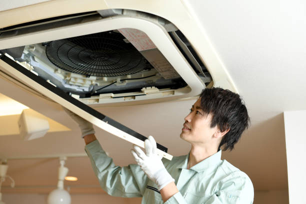 Best Home Air Vent Cleaning  in Afton, WY