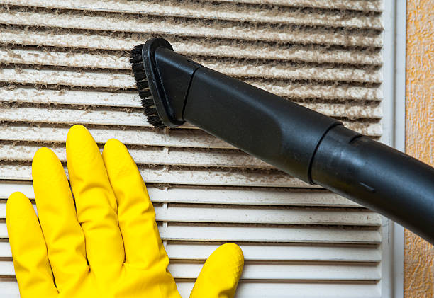 Best Affordable Duct Cleaning Services  in Afton, WY